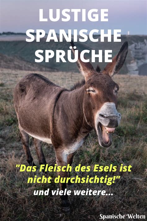 spanische sprüche|Spanische Sprüche: Witzige und praktische .